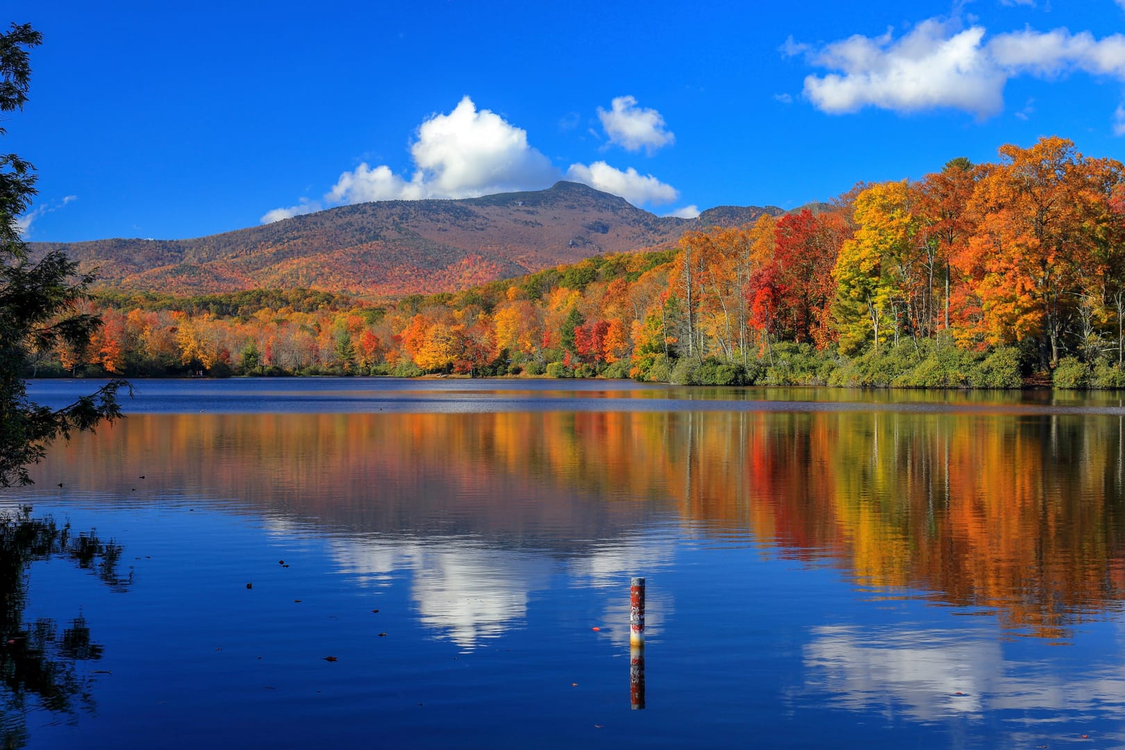 North Carolina
