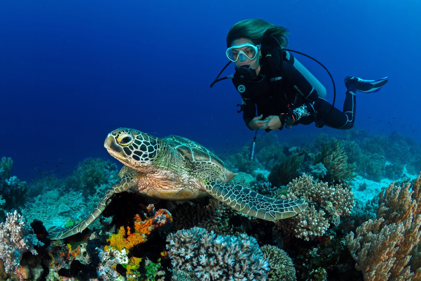 Scuba Diving/Snorkeling