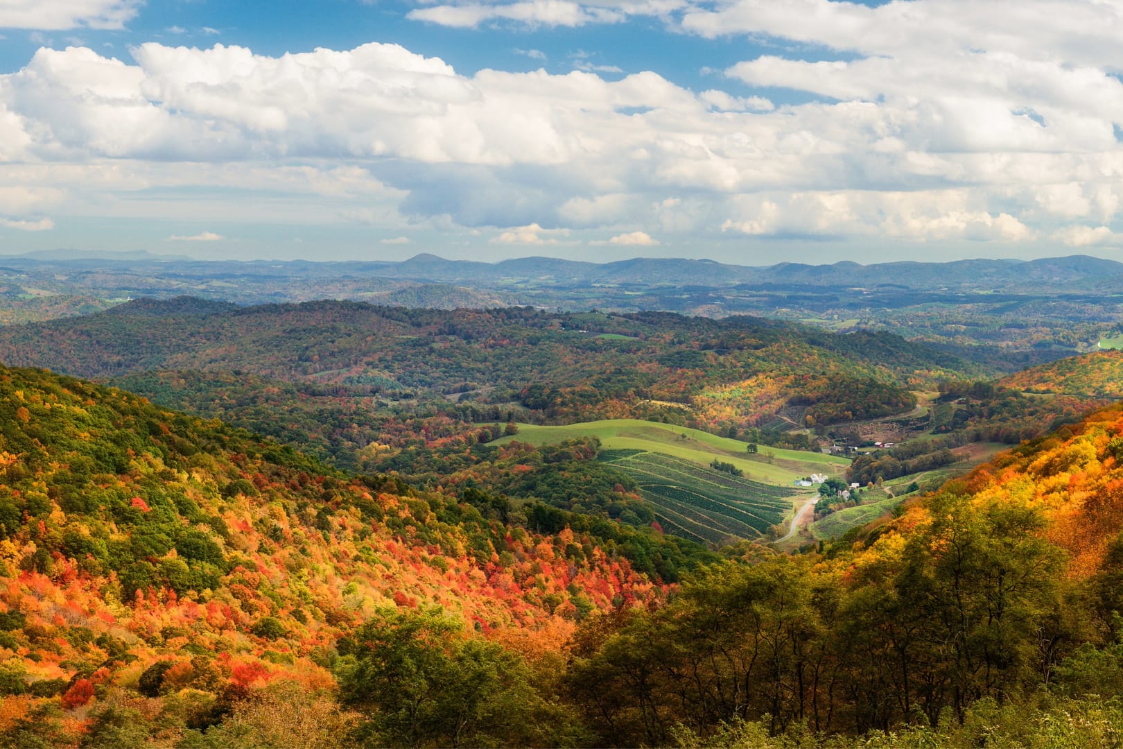 Virginia